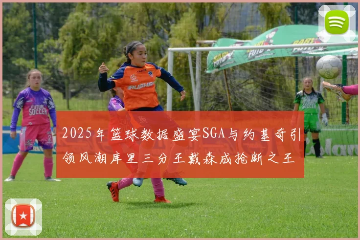 2025年篮球数据盛宴SGA与约基奇引领风潮库里三分王戴森成抢断之王